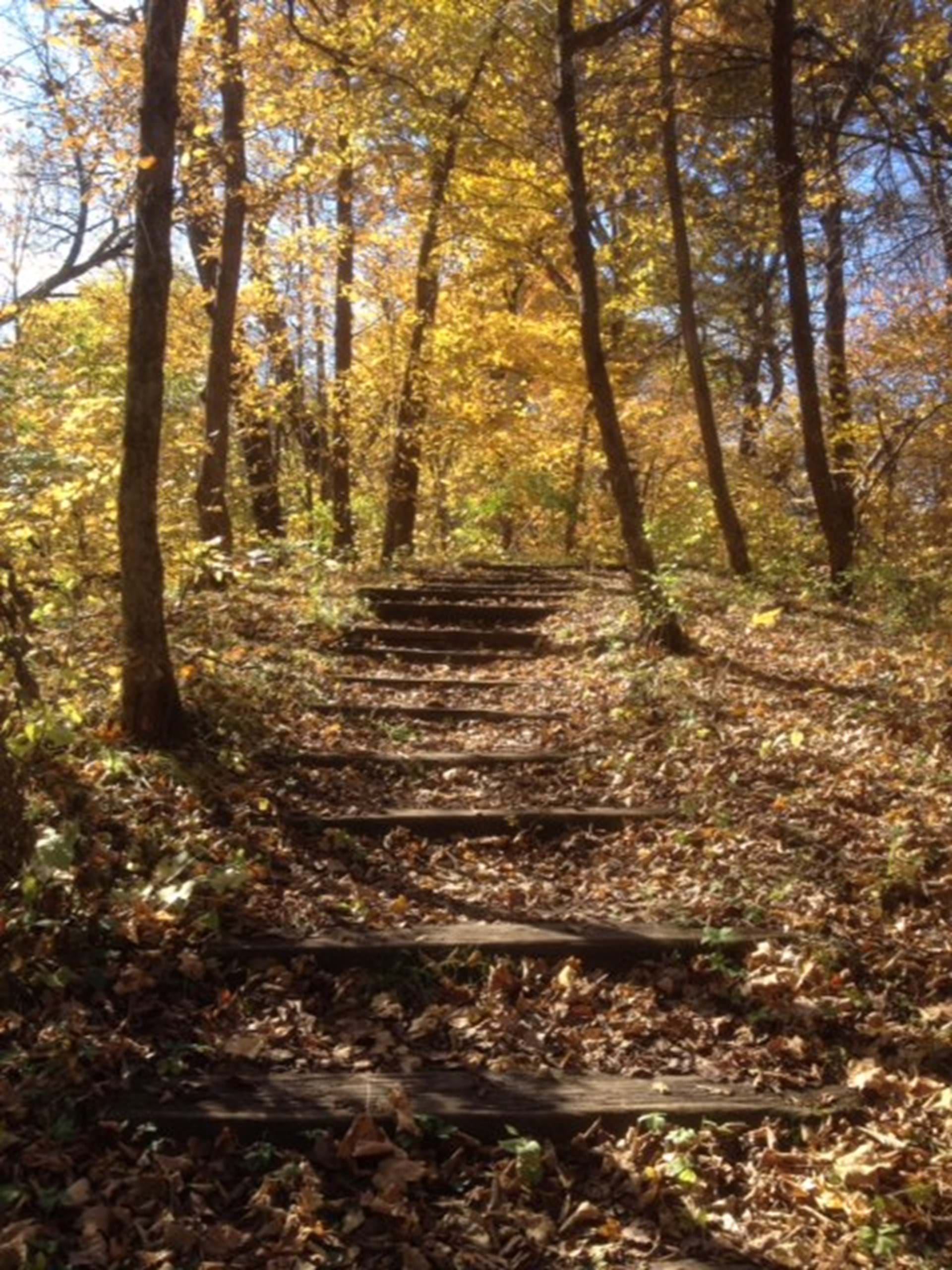 Trail with stairs