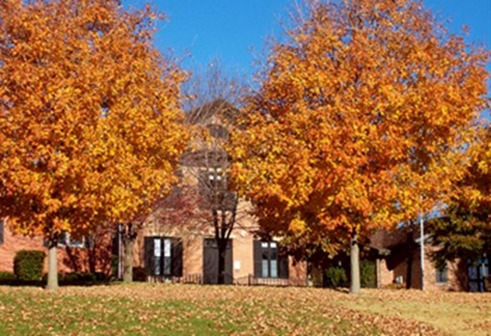 Courthouse in the Fall