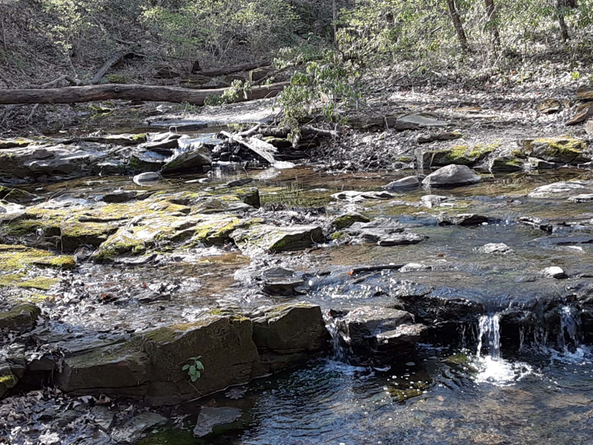 Creek at Kuehn Conservation Area