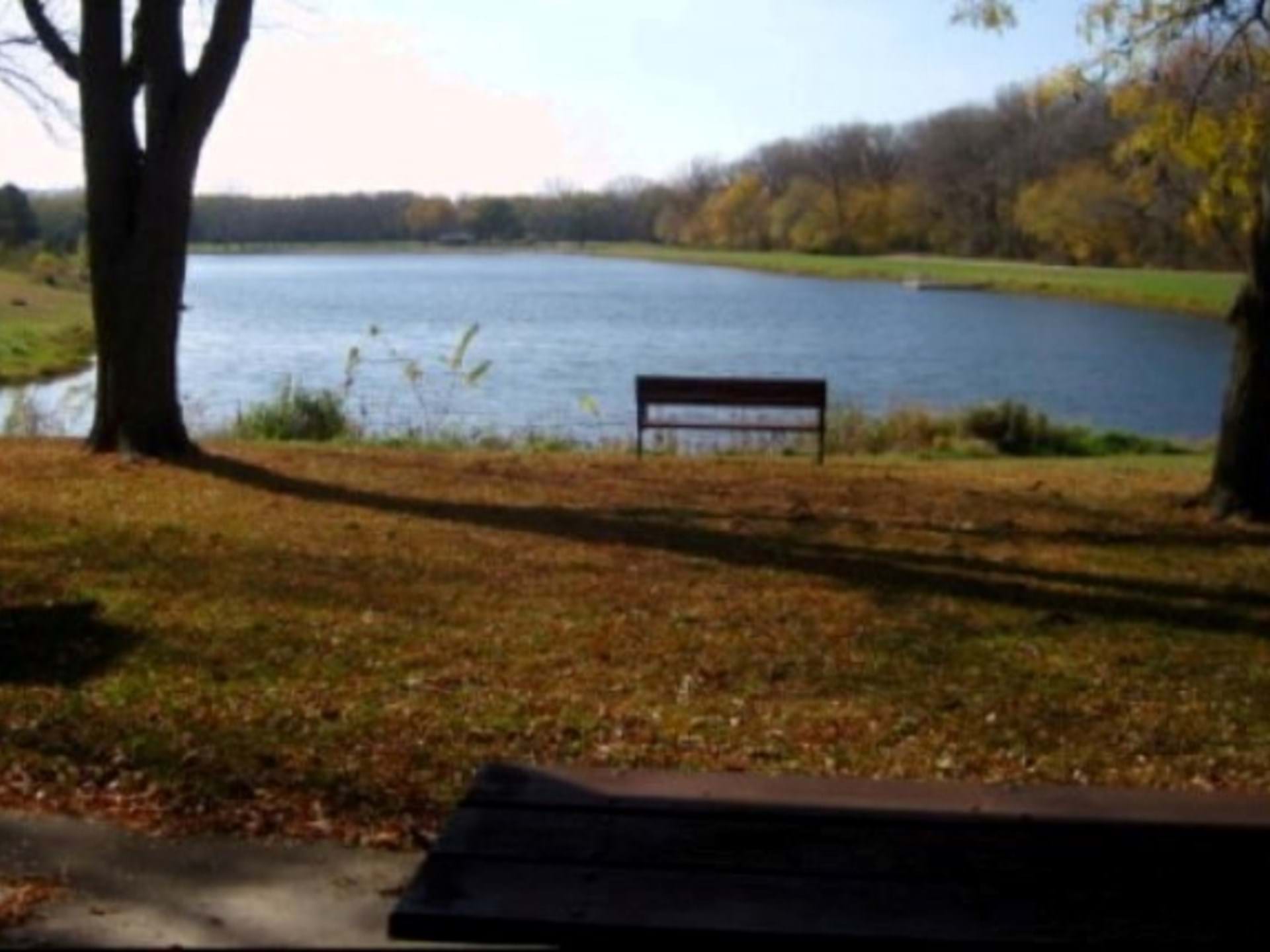 Little Sioux Park Lake View