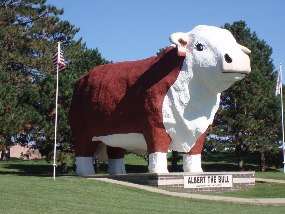 Albert the Bull, Audubon Iowa