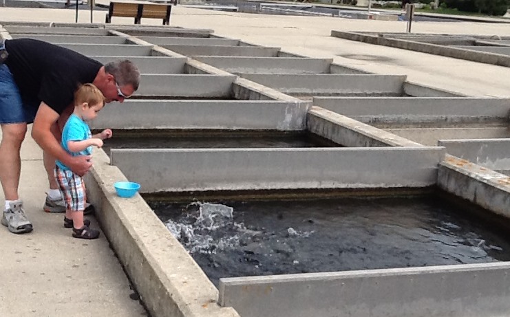 Fish Hatchery, Decorah Iowa