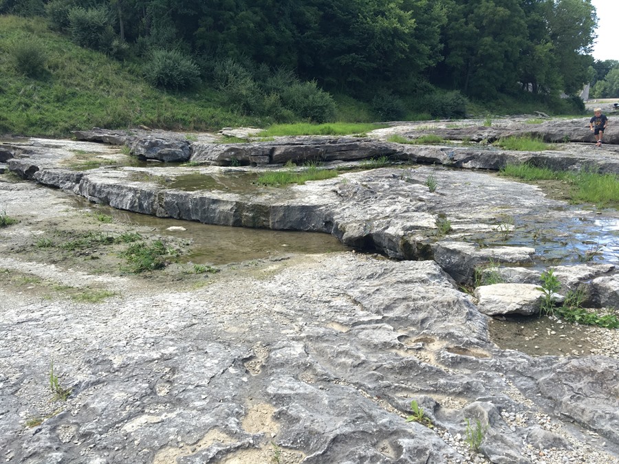 pembina gorge fossil dig