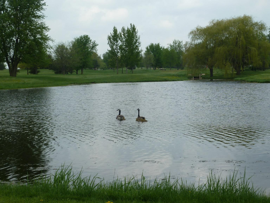 Woods Edge Golf Course Edgewood, Iowa Travel Iowa ThisIsIowa