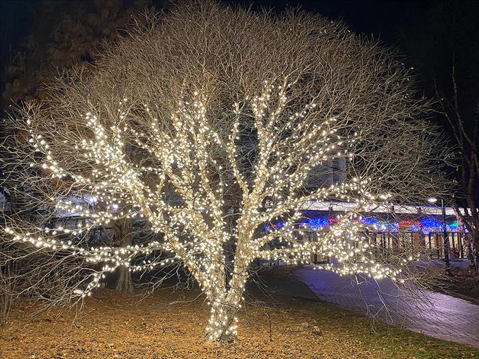 Downtown Ames Iowa Christmas 2022 Winter Wonderscape