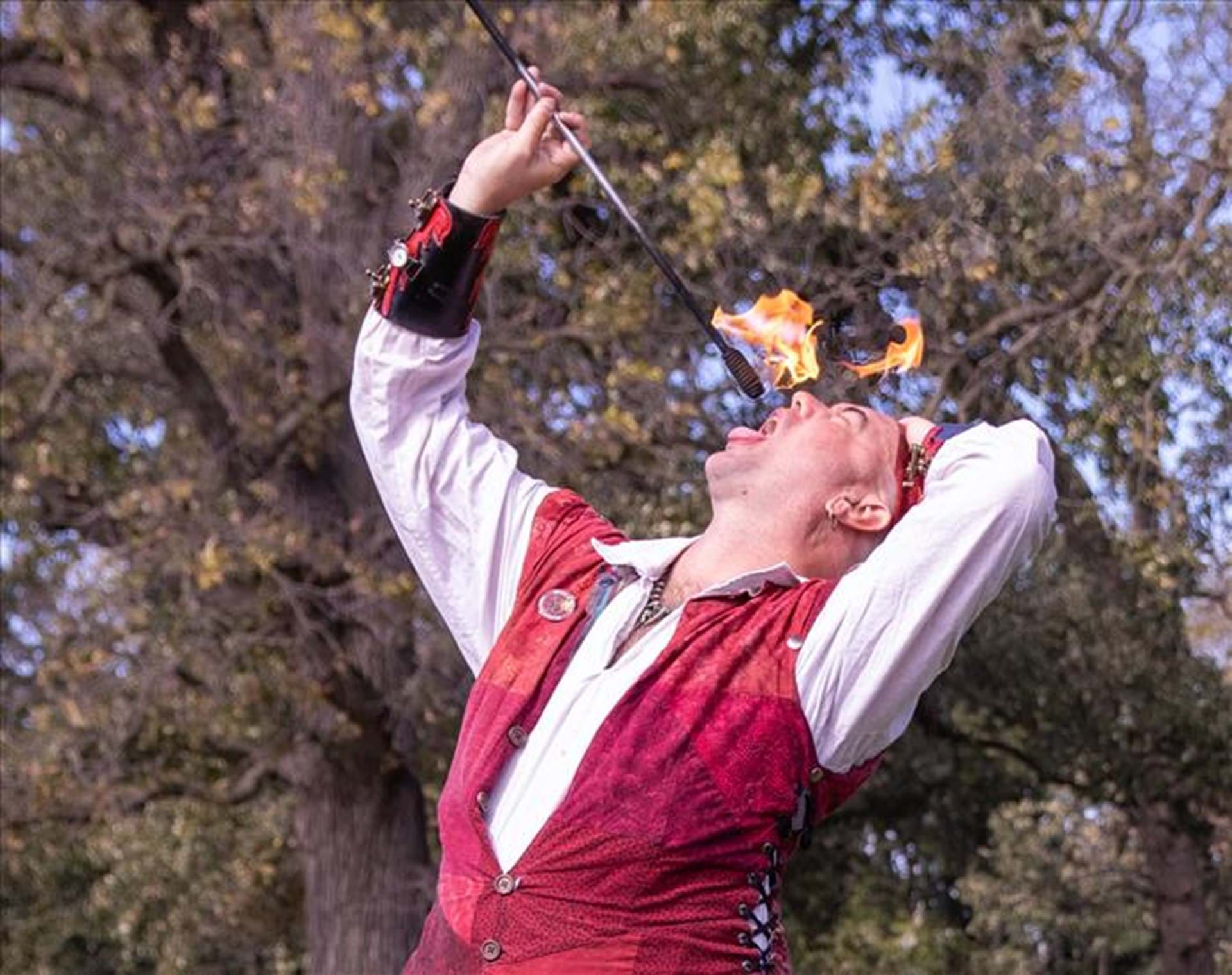 Greater Quad Cities Renaissance Faire Davenport, Iowa Travel Iowa