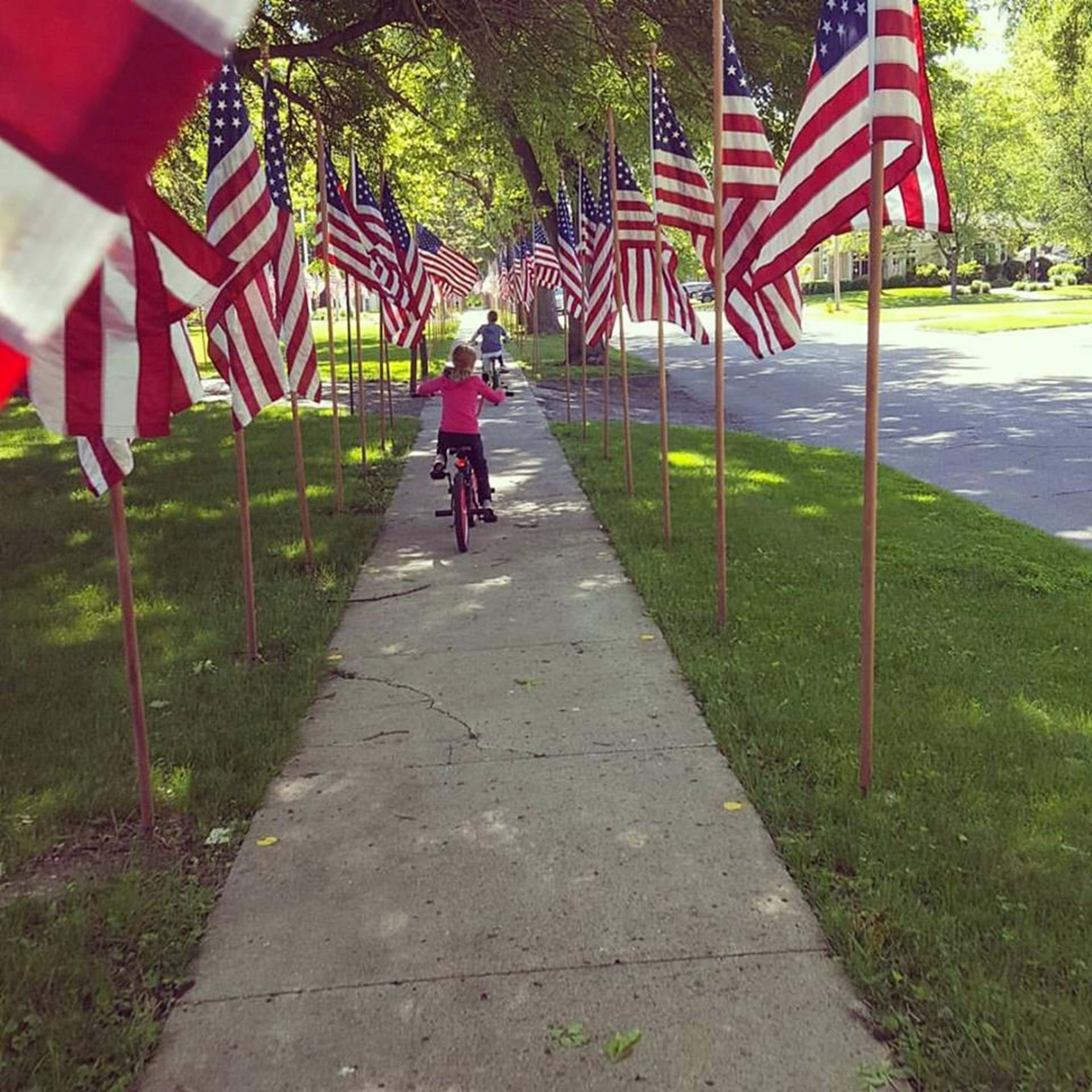 Avenue of Flags