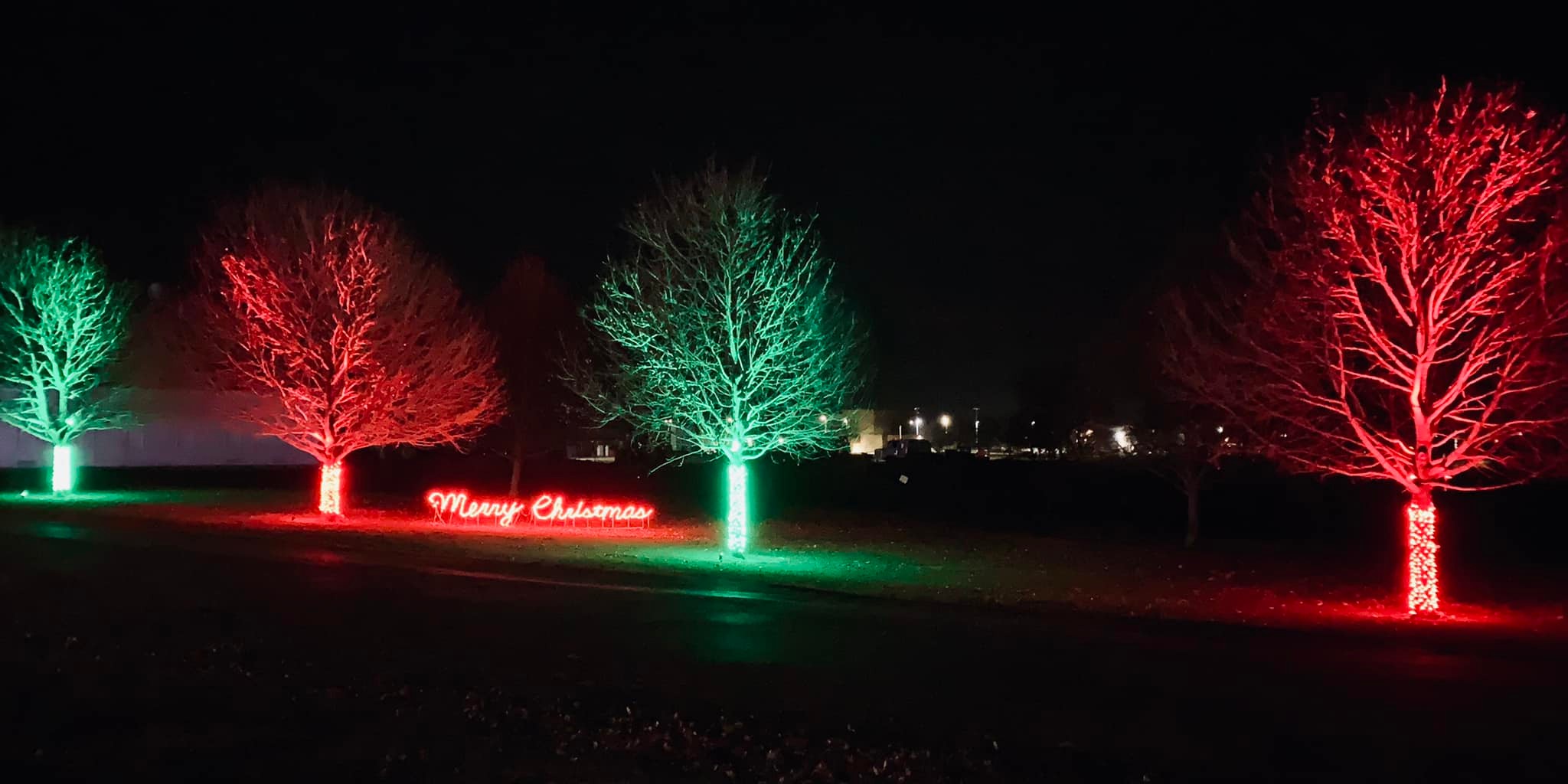 Holiday Light Displays