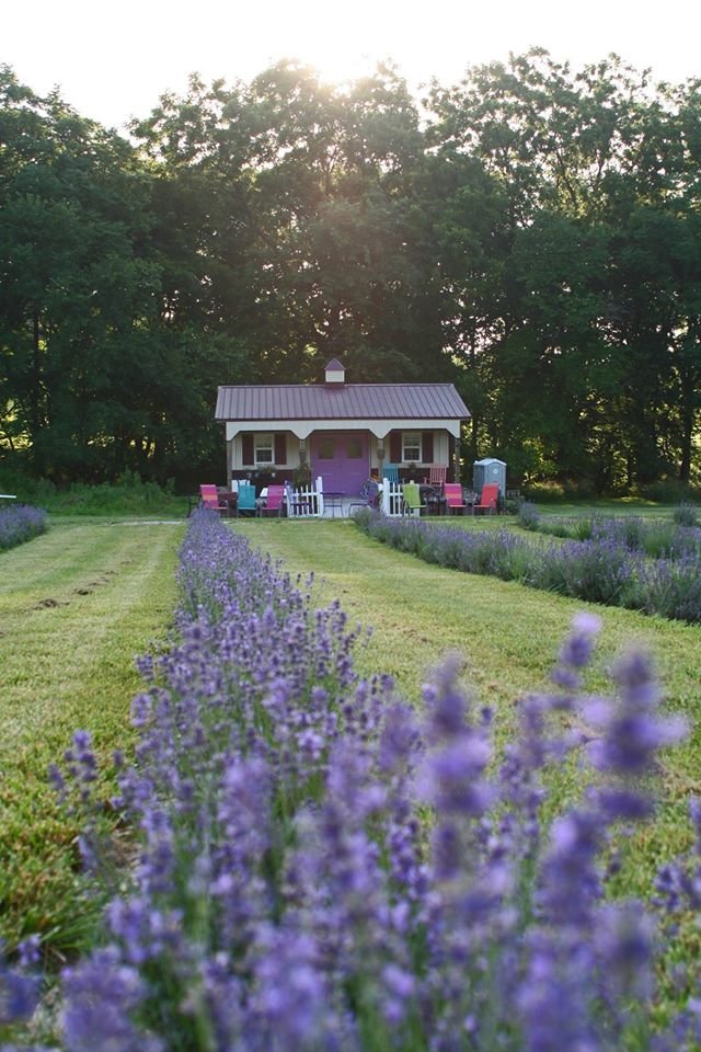 Loess Hills Lavender Farm