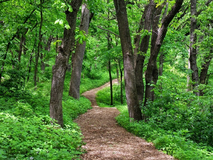 Take a Hike: Hillview Recreation Area, Hinton Iowa