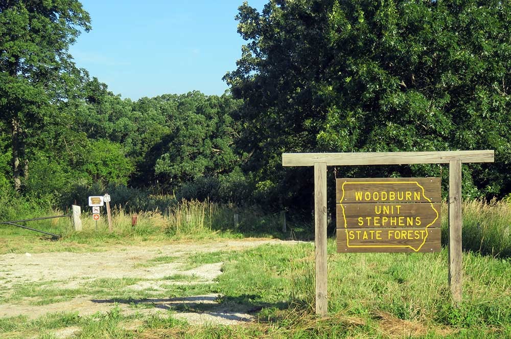 Stephens State Forest