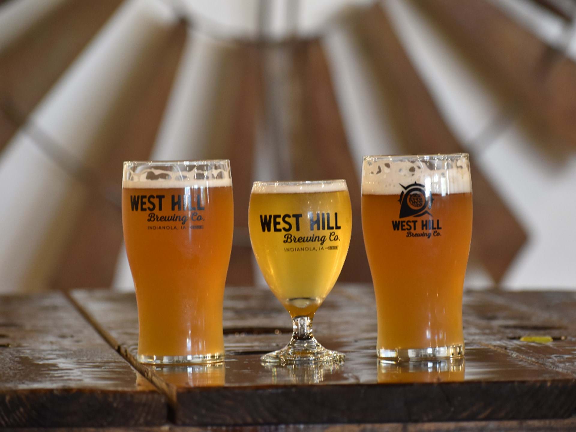 West Hill Brewing co. beer samples against their feature wall