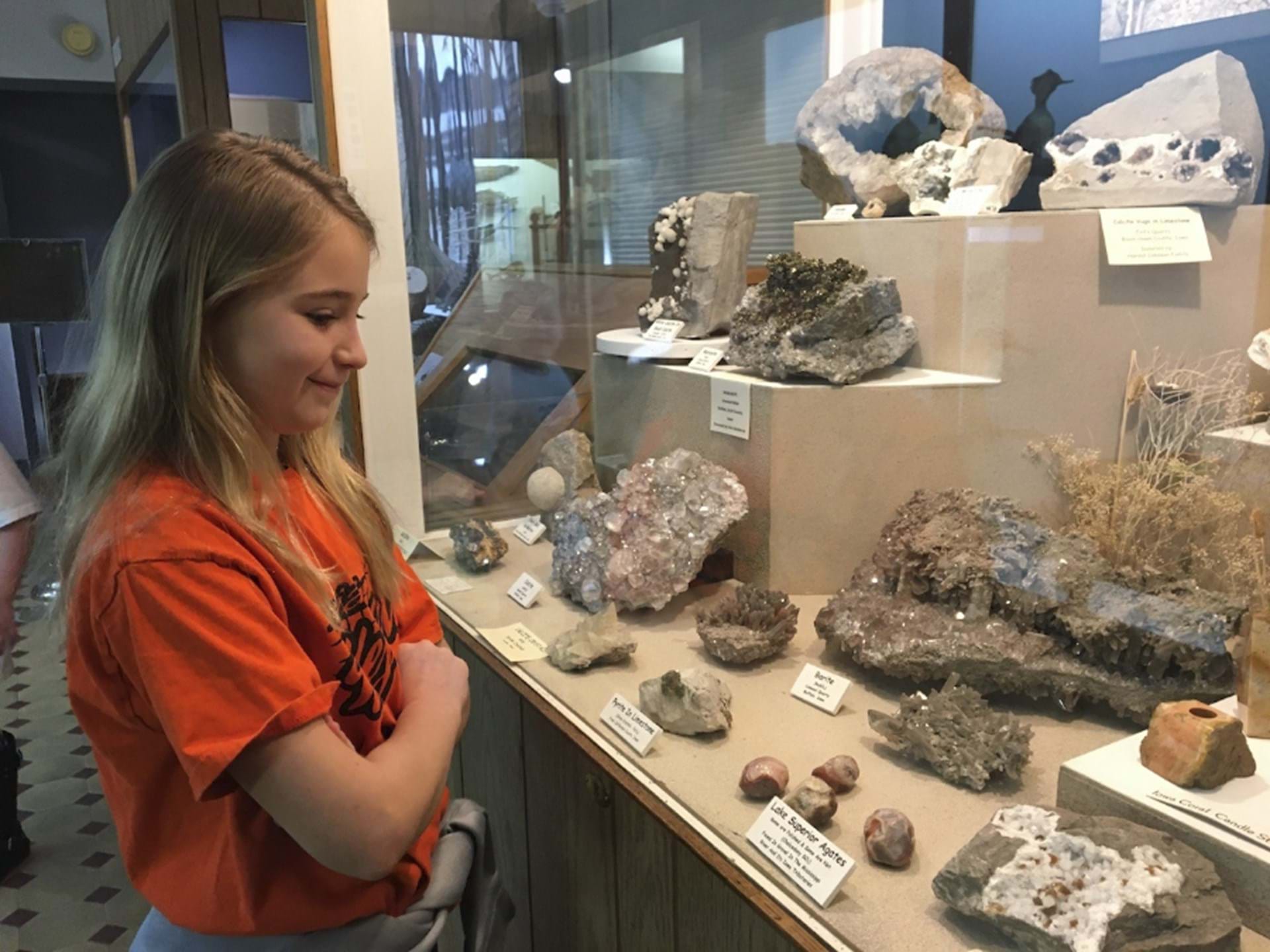 Geological displays at the Carnegie Museum in Fairfield