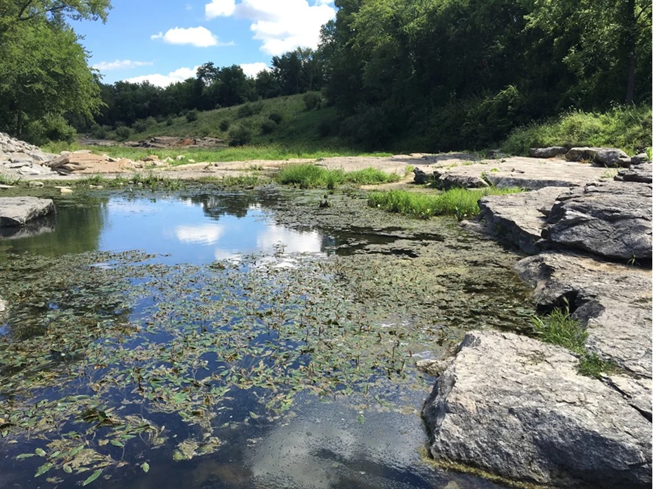 Devonian Fossil Gorge | Iowa City, Iowa | Travel Iowa