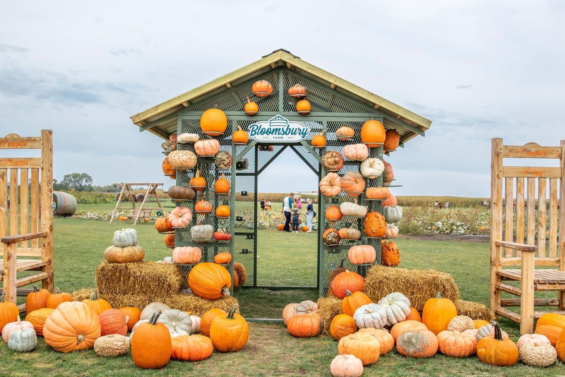 Photo ops and Pumpkin House!