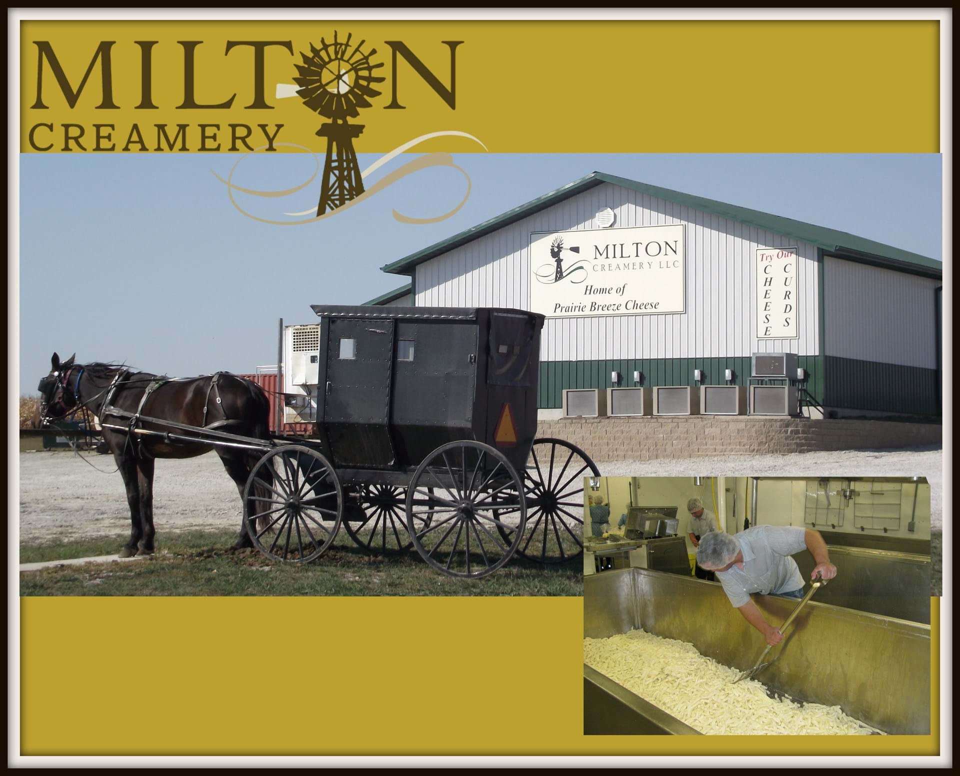 You can always find great cheese at Milton Creamery