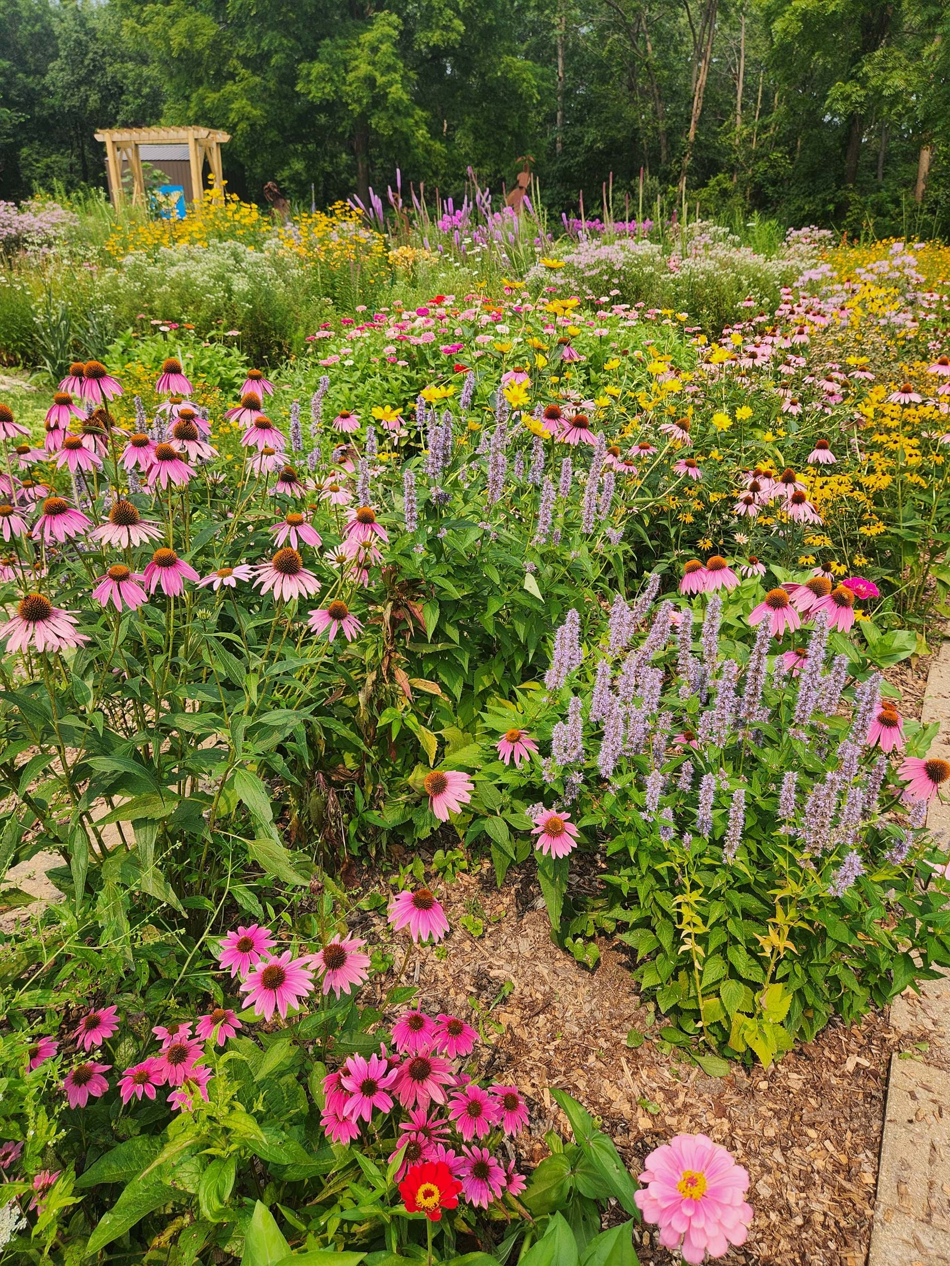 Butterfly Garden at Bellevue State Park