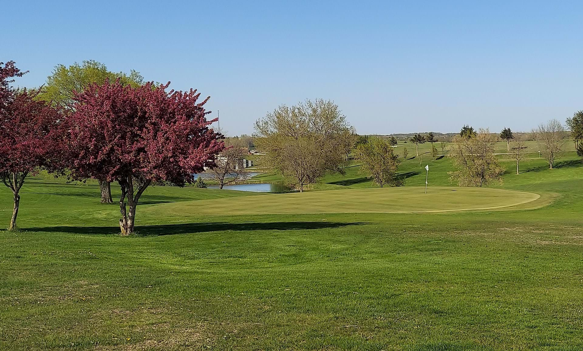 Greens and fairways are irrigated