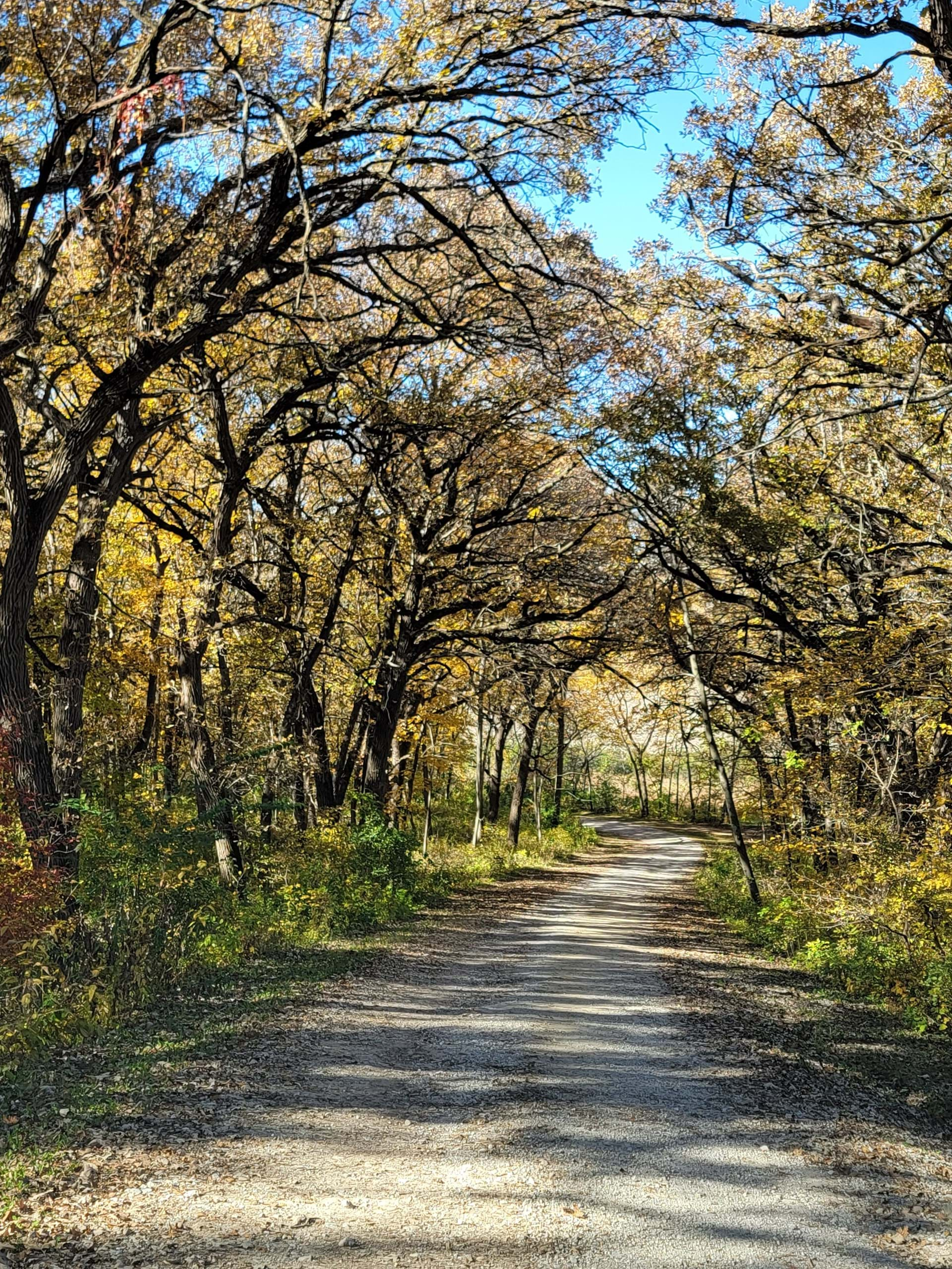 Entrance to Primitive Campgrounds