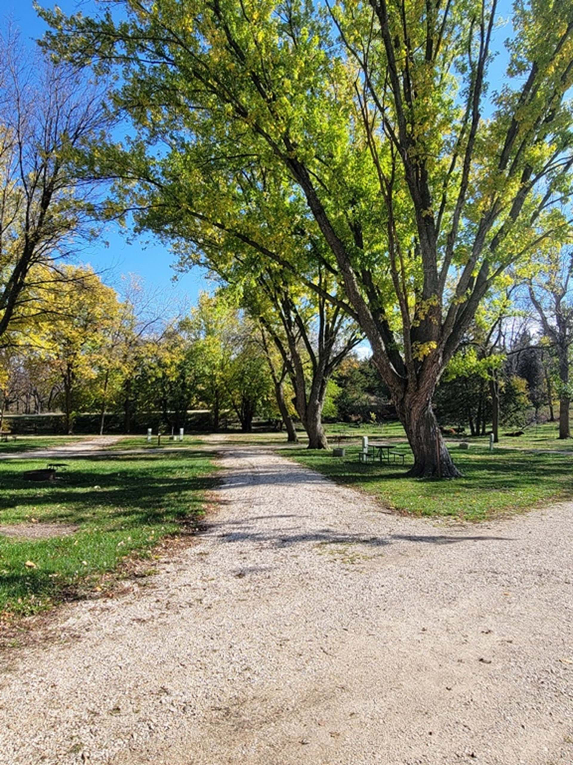 Modern Campsite