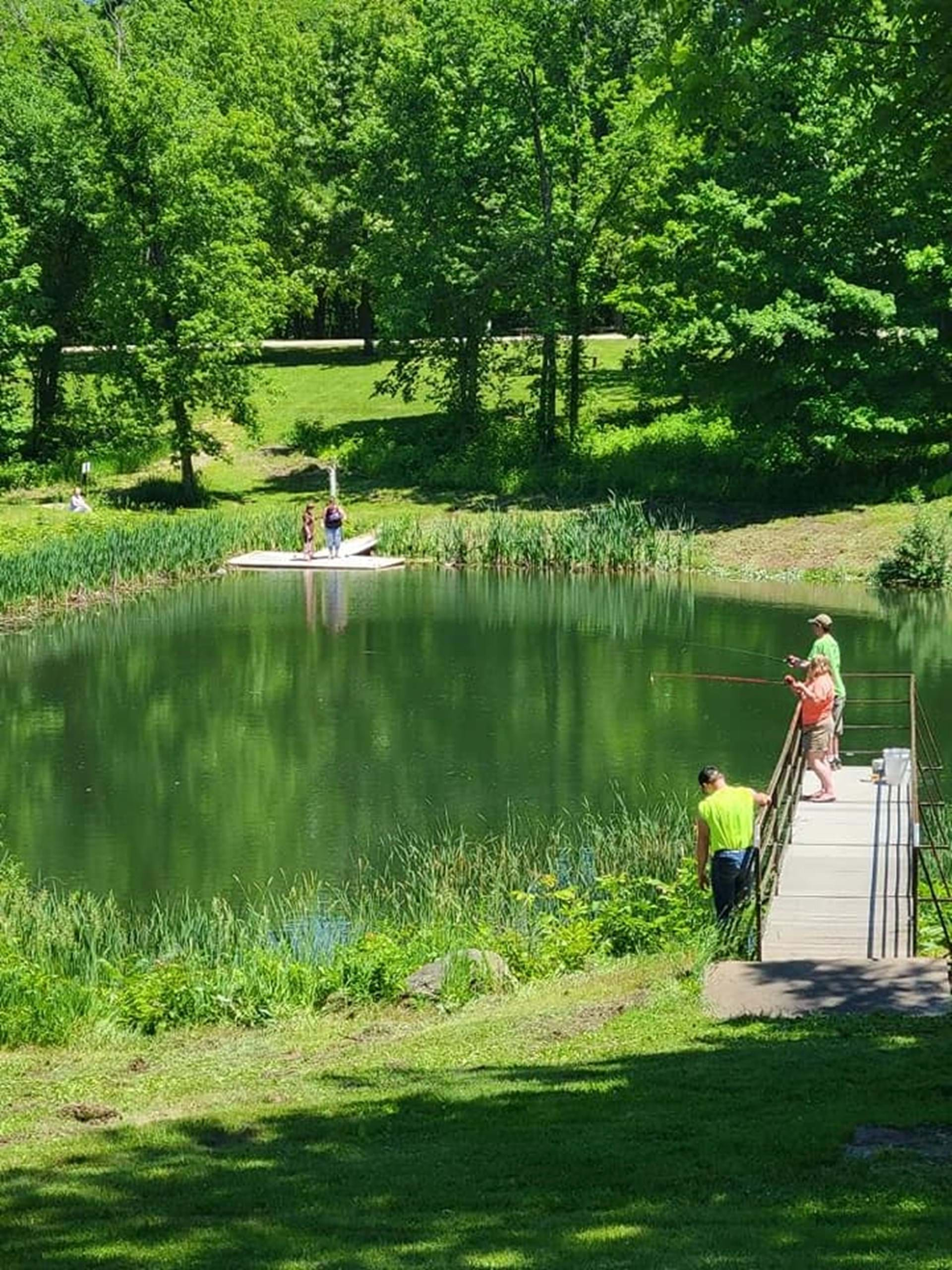 Peaceful surroundings at Oakland Mills Park