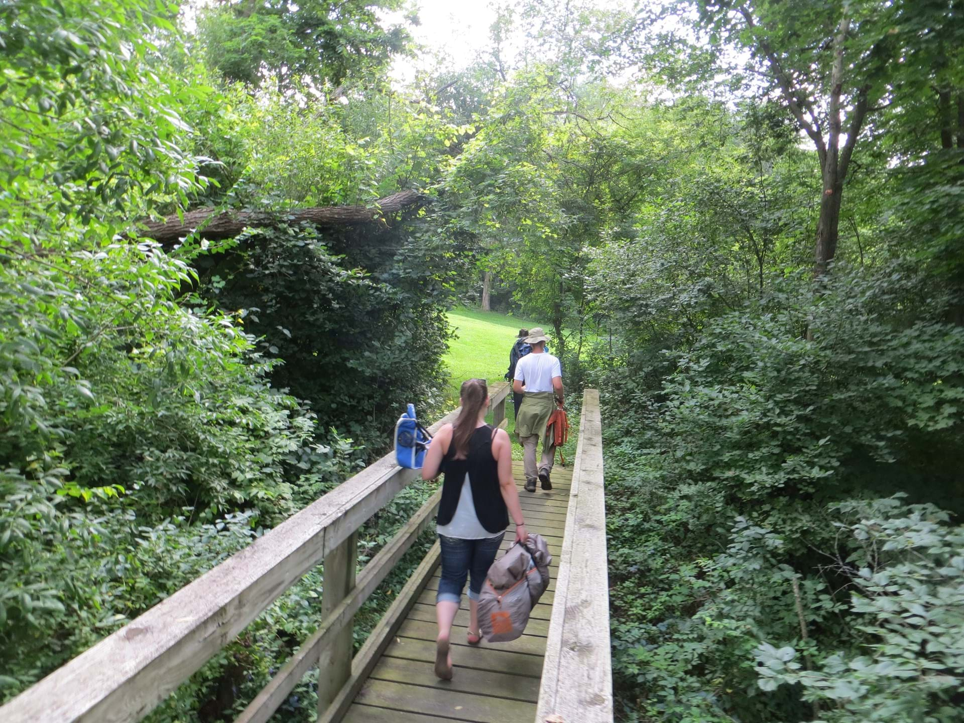 Wood bridge