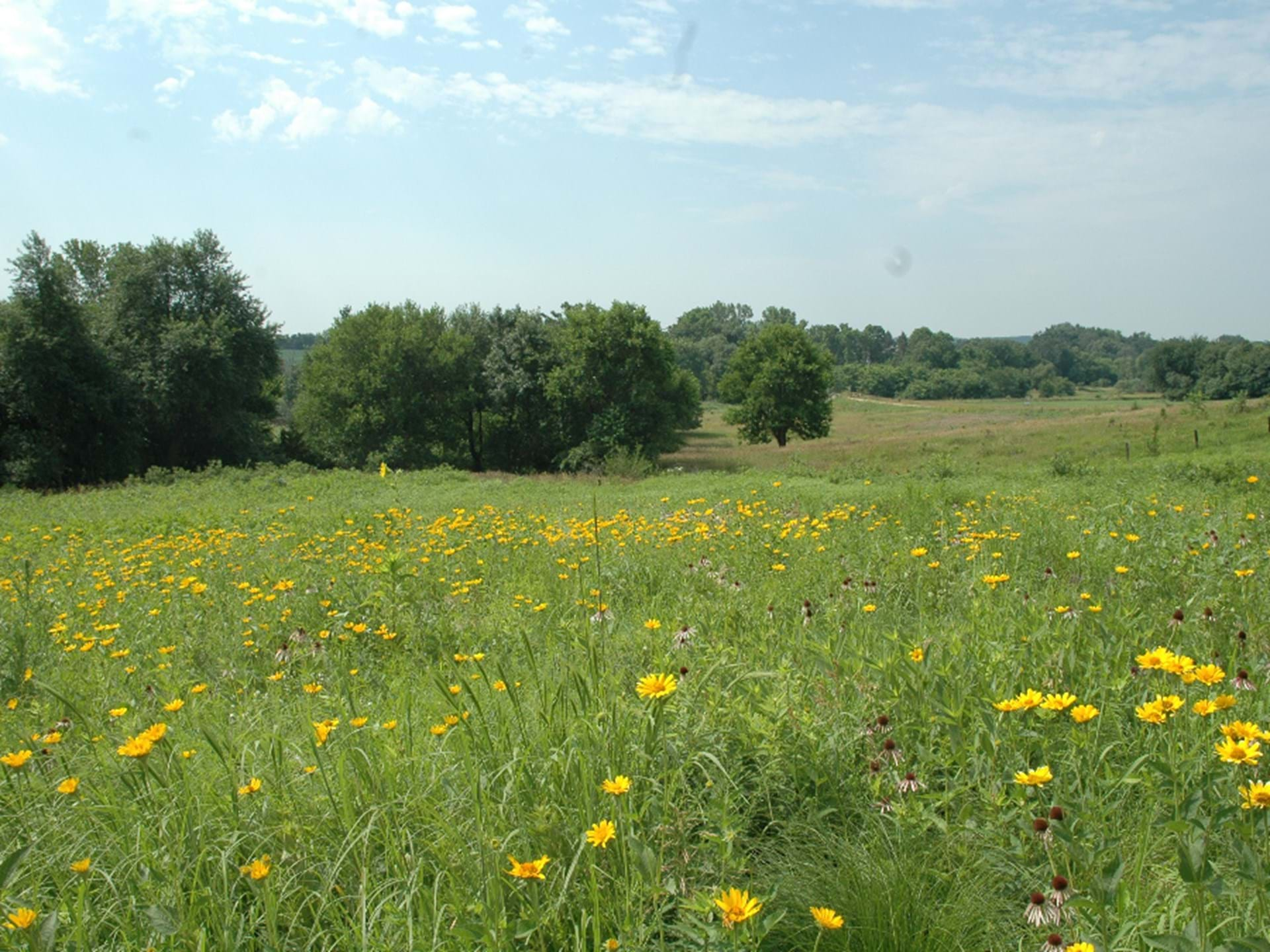 View of Greenwood Prairie