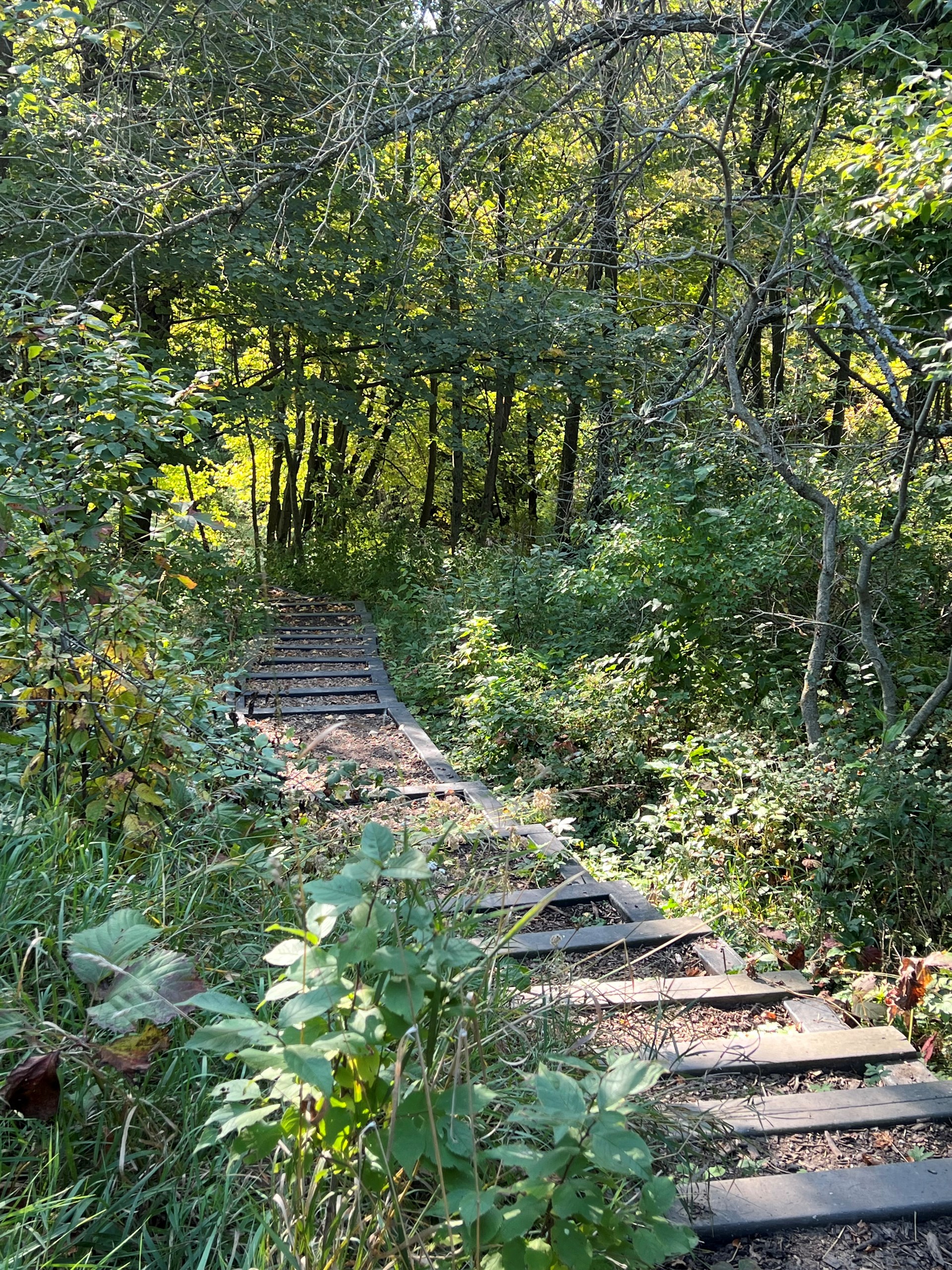 Short hiking trail