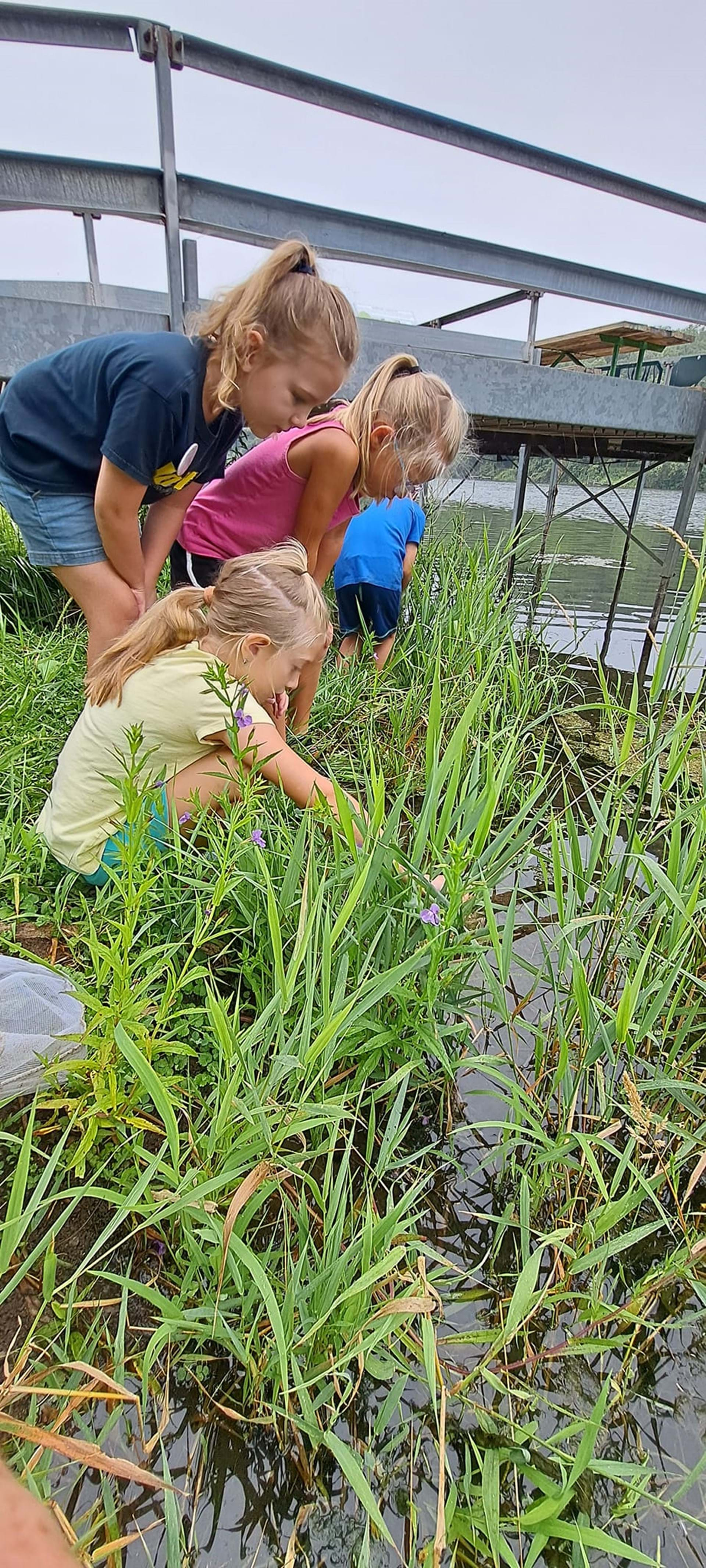 Catching Cricket Frogs at Moorehead Lake