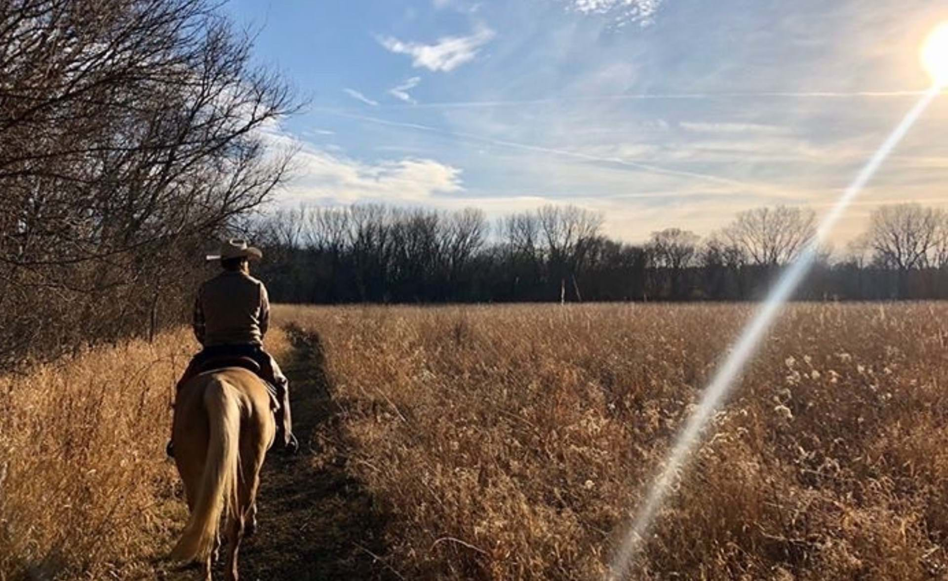 Equine Trail