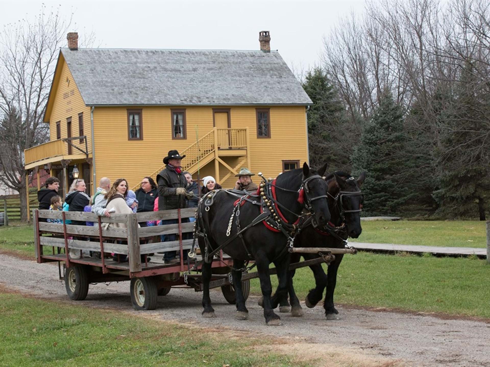 Wagon ride through our 1875 Town pulled by Percheron draft horses