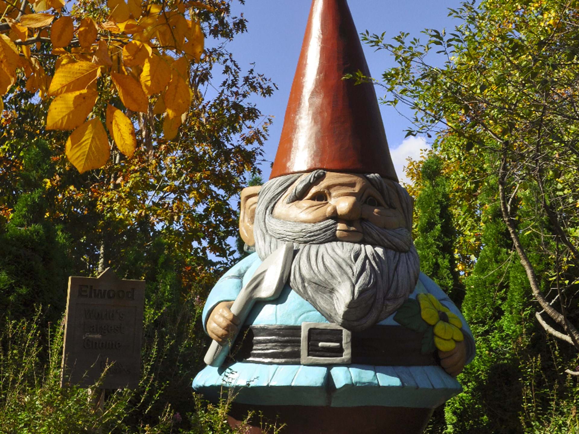 Elwood the worlds tallest gnome