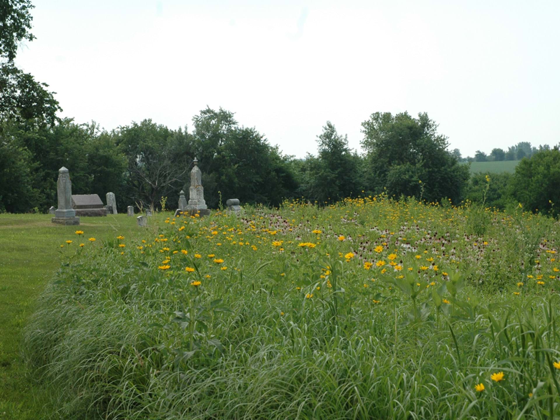 Greenwood Cemetery and Prairie