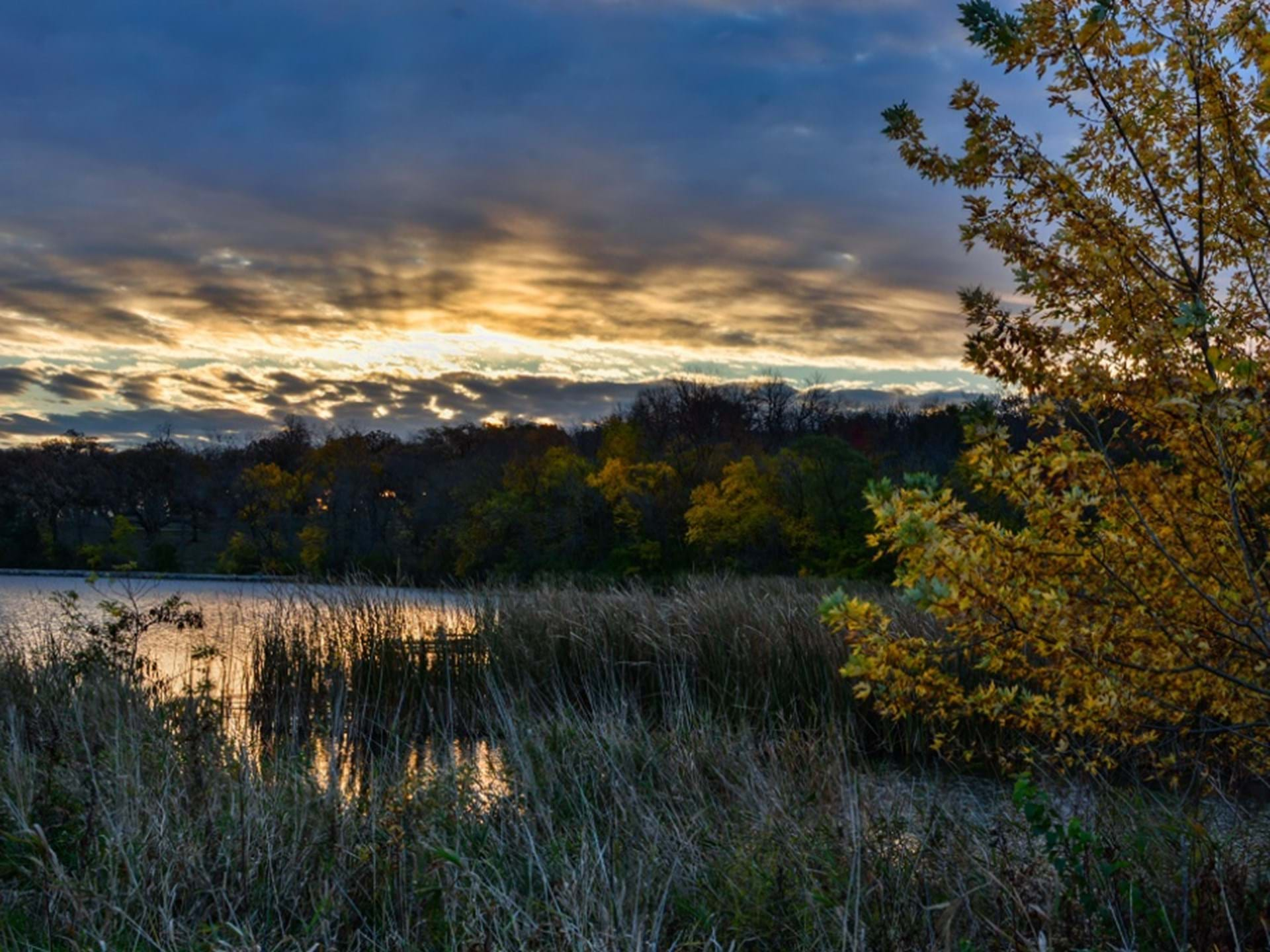 Swan Lake State Park | Carroll, Iowa | Travel Iowa