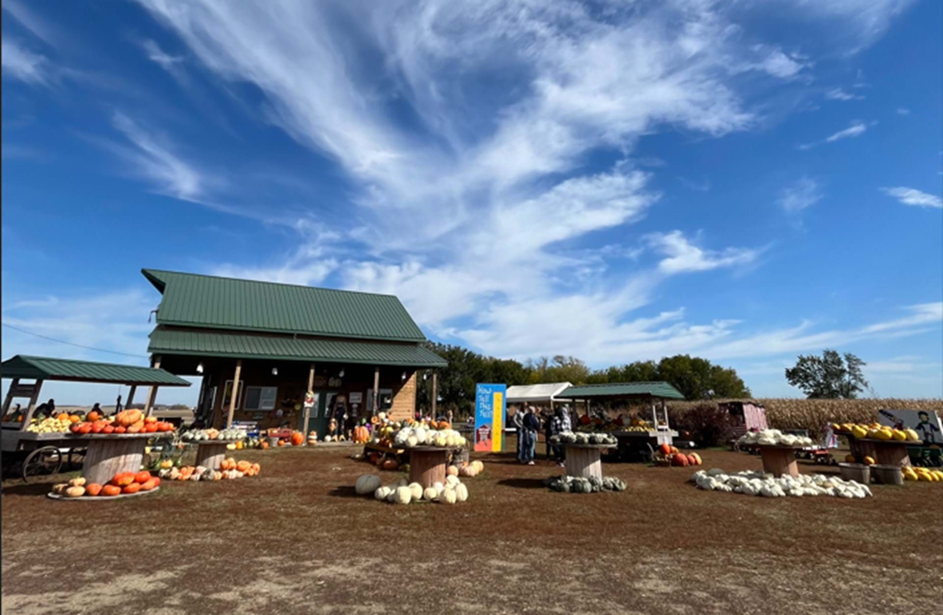 Hoefling's Pumpkin Patch & Corn Maze 