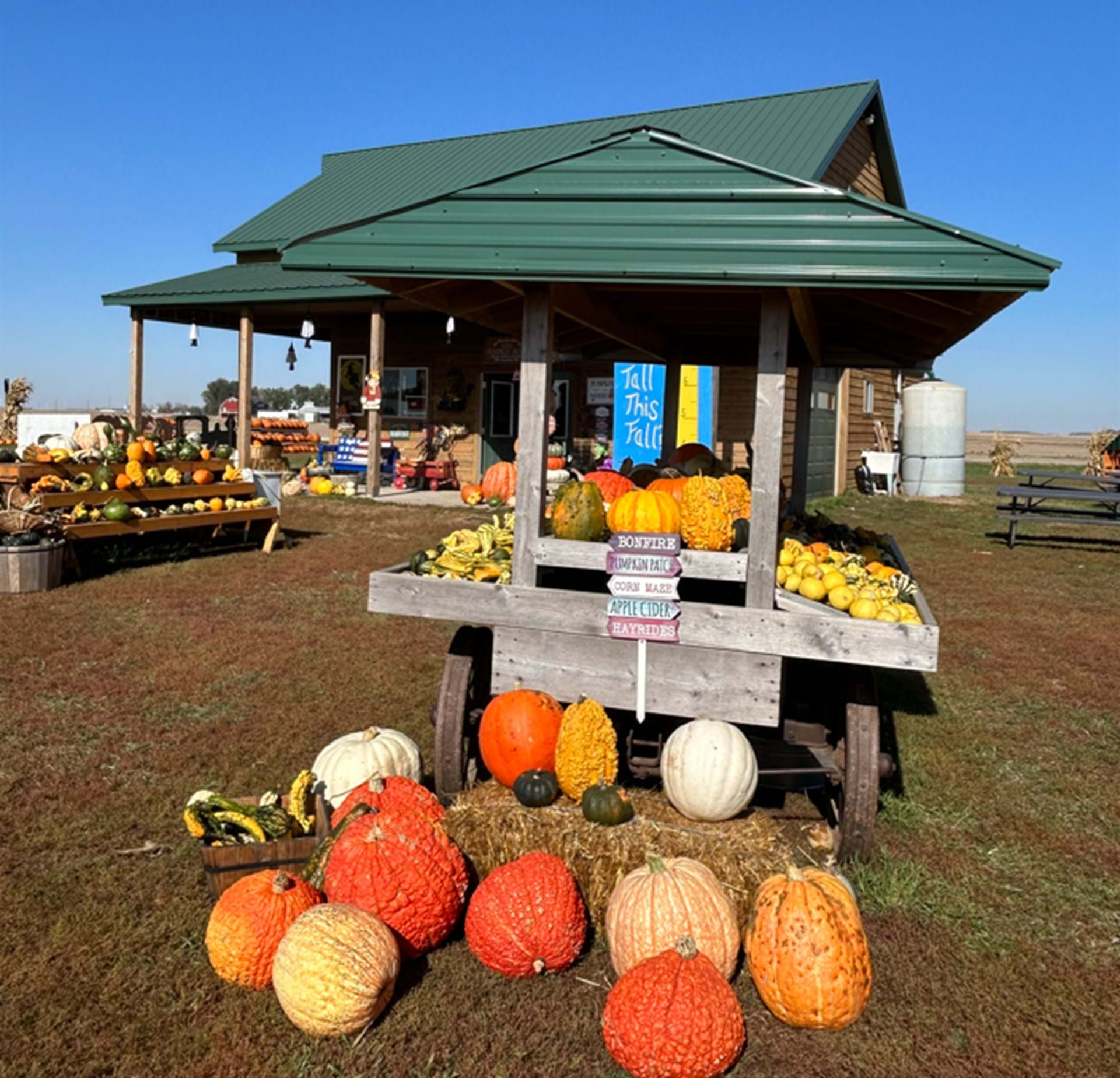 Hoefling's Pumpkin Patch & Corn Maze 