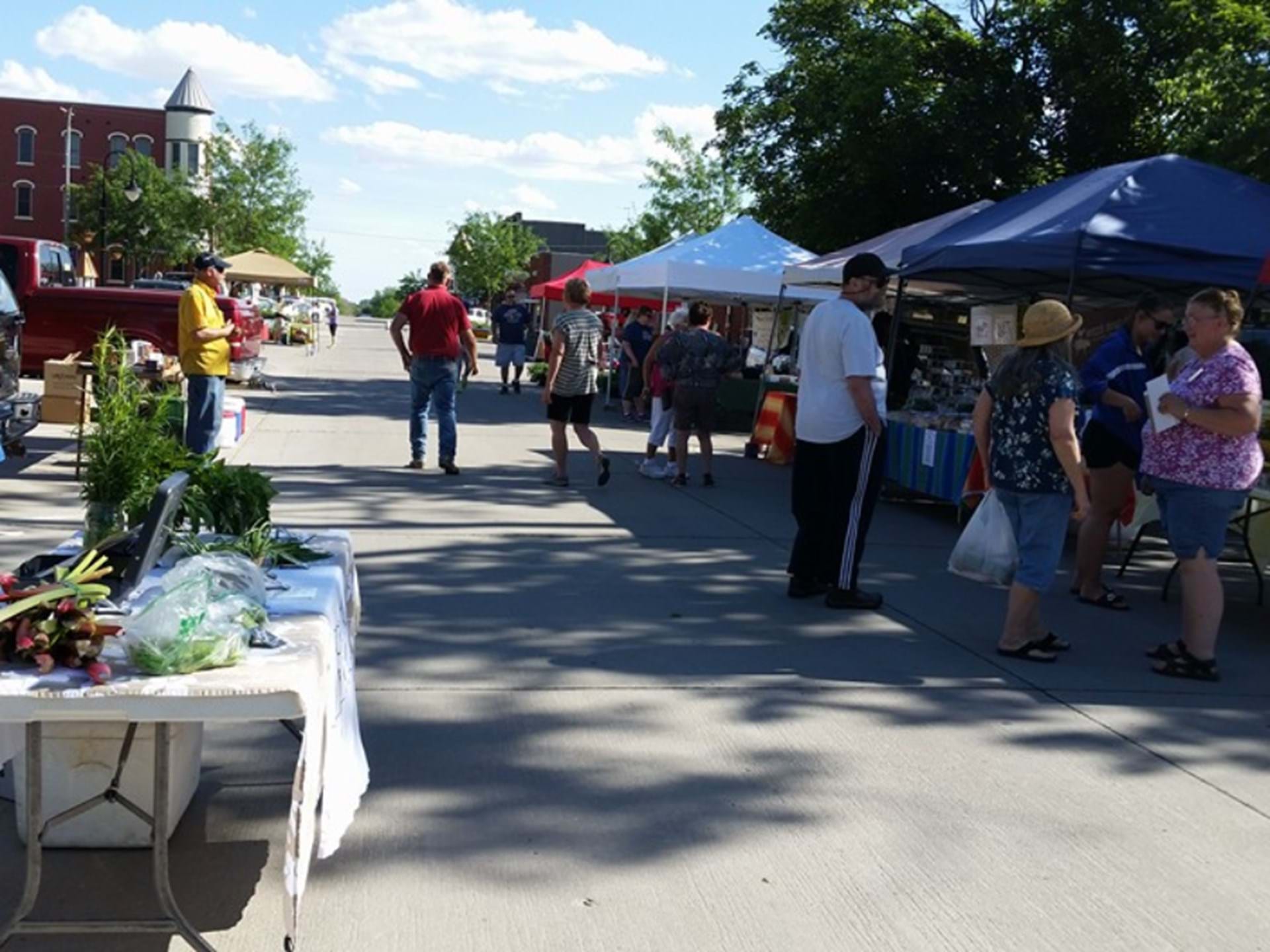 Every Wednesday evening June through September from 5 to 7 p.m. North Elm Street holds the Avoca Main Street Farmers Market, featuring fresh local produce, baked goods, crafts, food trucks, and entertainment.